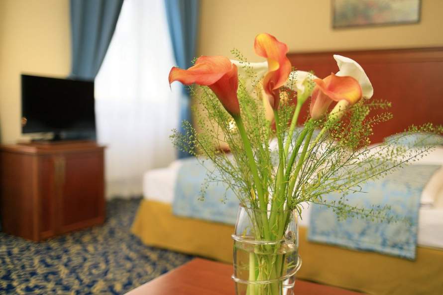 Rooms Superior room, Hotel Bellevue