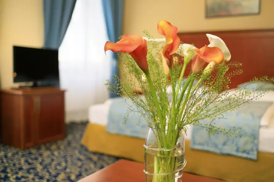  Zimmer und Suiten  Junior Suite, Hotel Bellevue